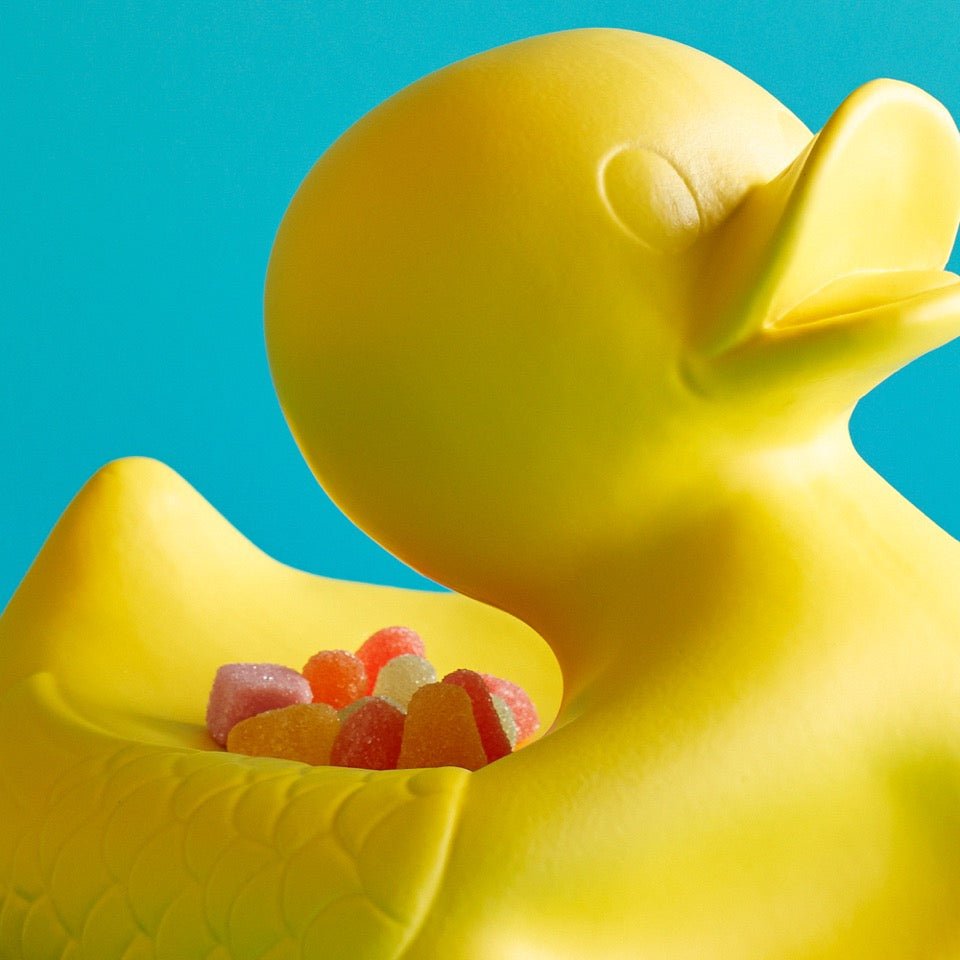 Mr. Vilain little yellow duckling