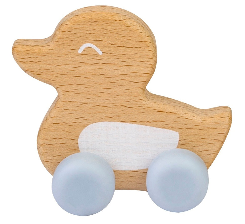 Blue dentition toy duck