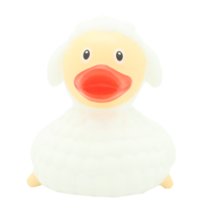 Sheep duck