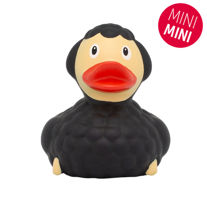 Mini Black Sheck Duck