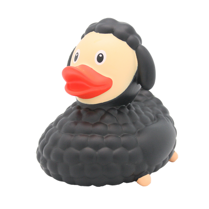 Black Oile Duck.
