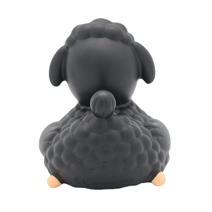 Black sheep duck