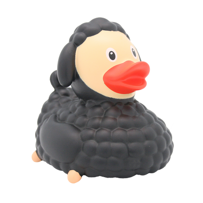 Black Oile Duck.