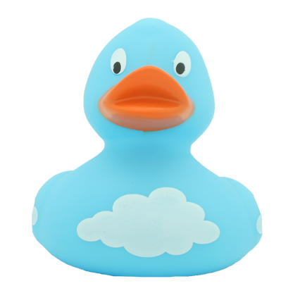 Canard Nuages