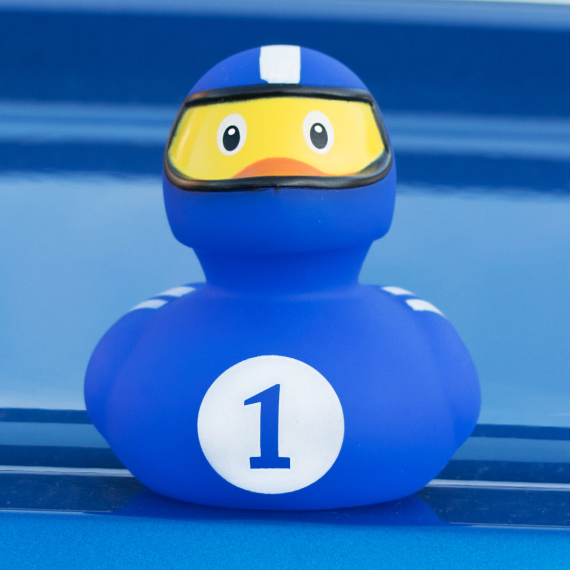 Blue racing pilot duck