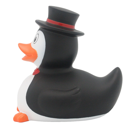 Canard Pingouin