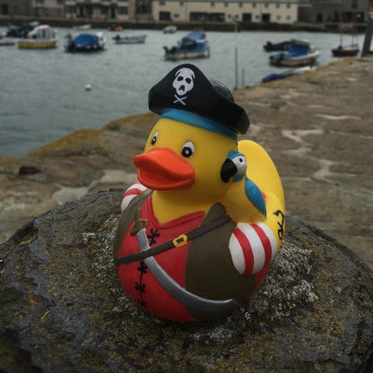 Pirate Duck.