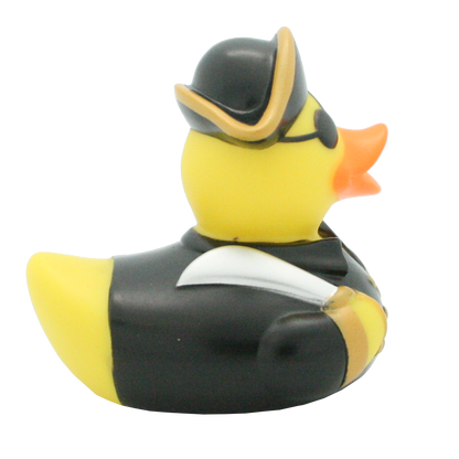 Pirate duck