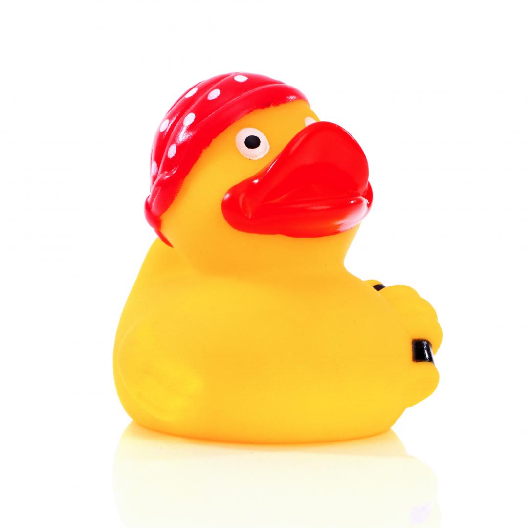 Pirate Moussaillon duck