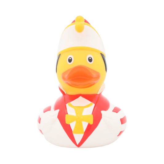 Carnival Prince Duck.