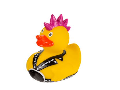 Punk duck