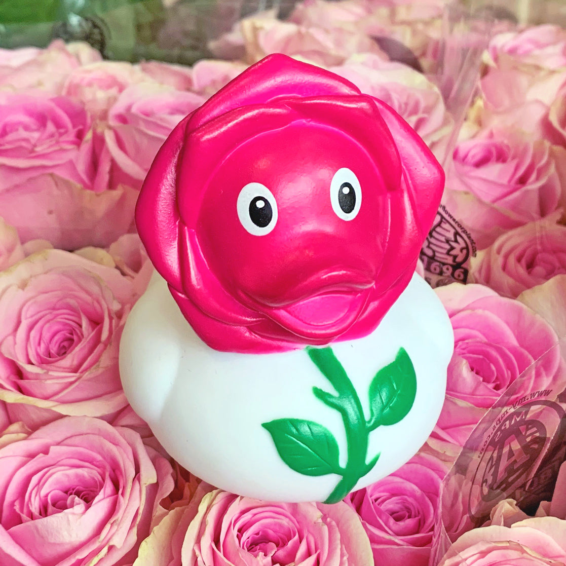Rose duck