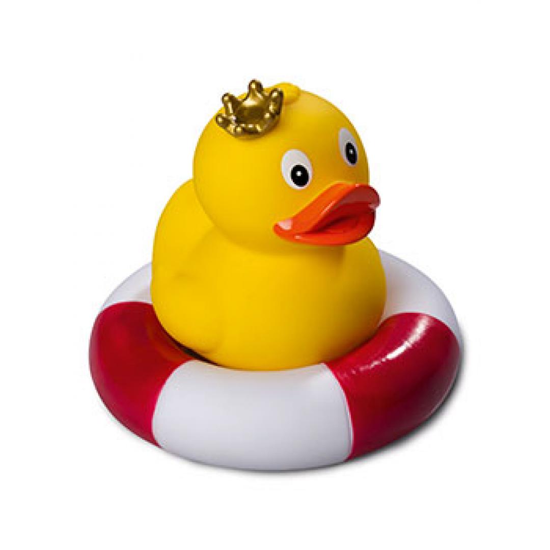 Royal Duck Standing.