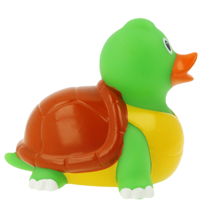 Duck Tortoise.