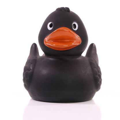 Black duck