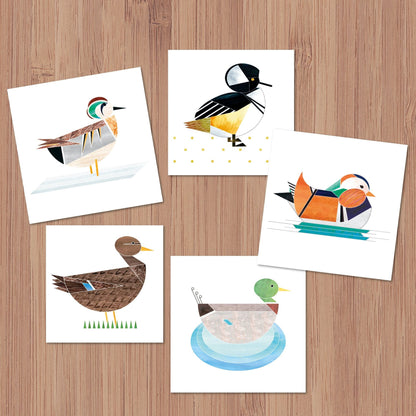 Elegant Sarcelle Duck Wishes Card