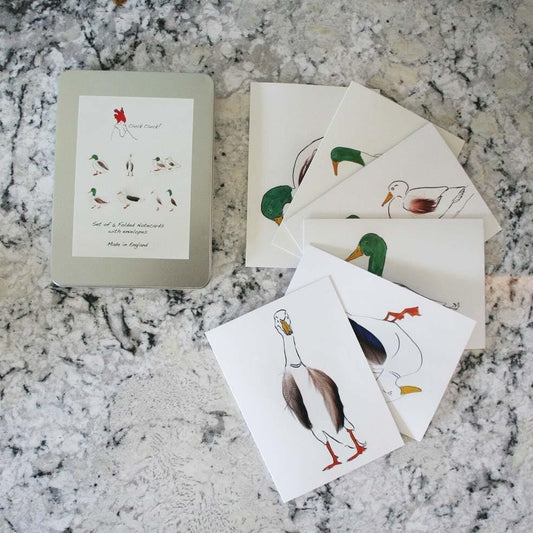 Caja de 6 tarjetas de pato de plumas.