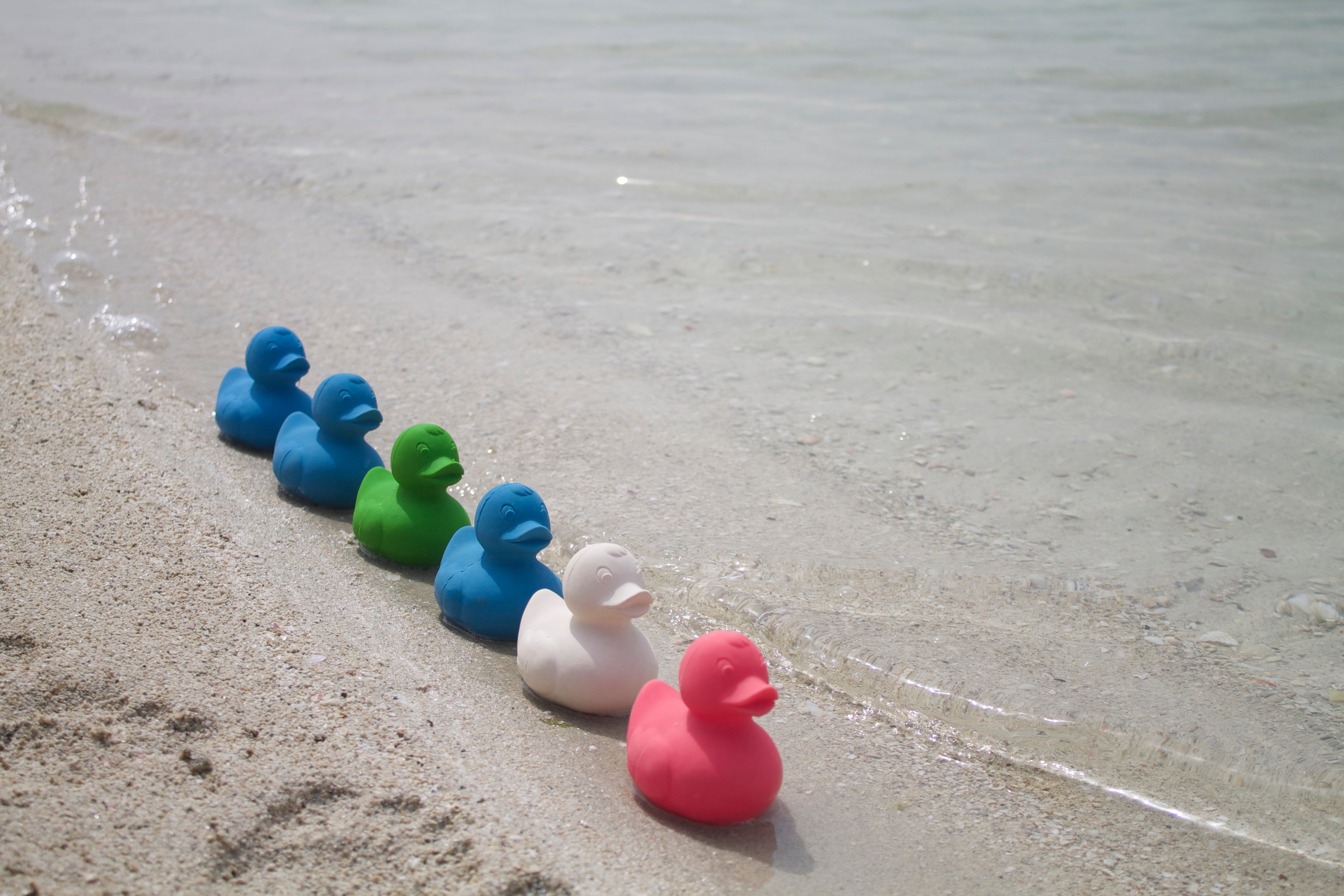 canard monochrome vert oli carol