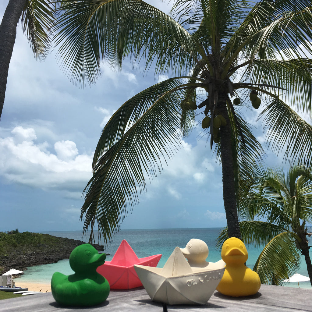 canard monochrome vert oli carol