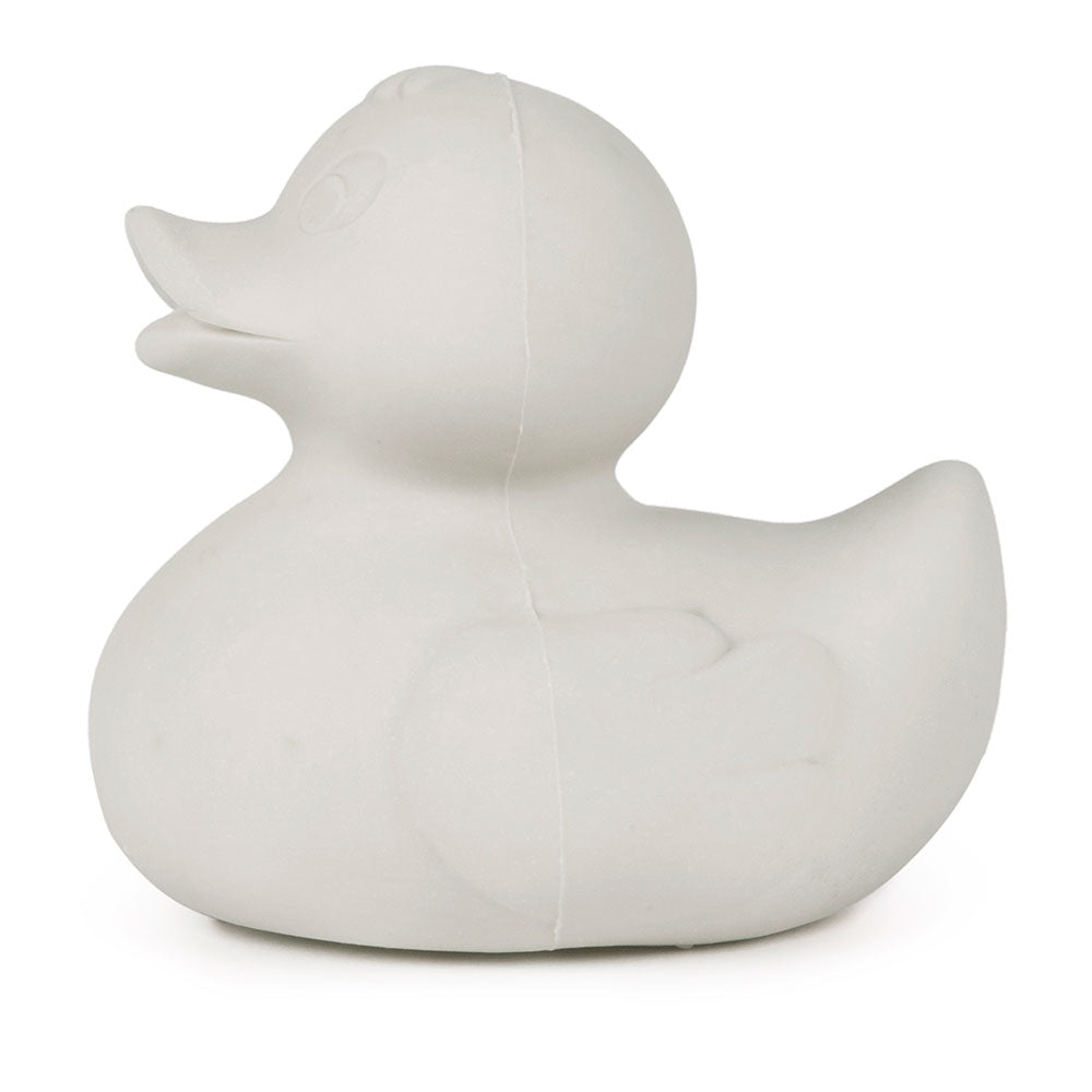 canard-monochrome-gris-oli-carol