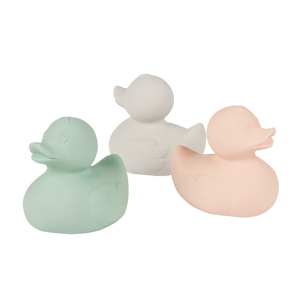 canard-monochrome-gris-oli-carol