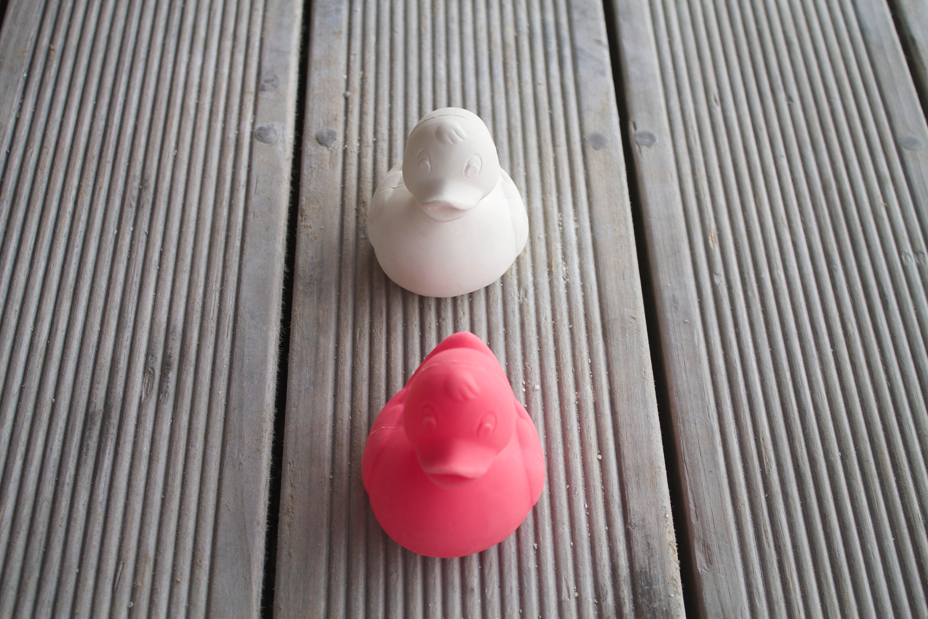 canard-monochrome-rose-oli-carol