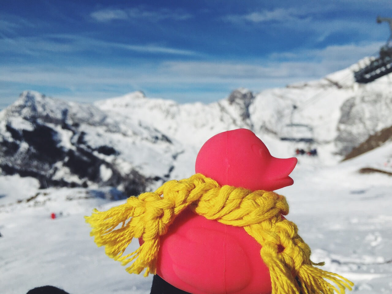 canard-monochrome-rose-oli-carol