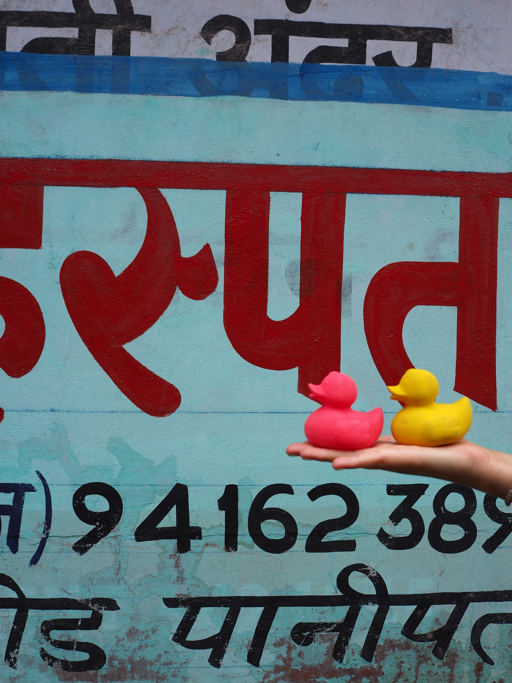 canard-monochrome-rose-oli-carol