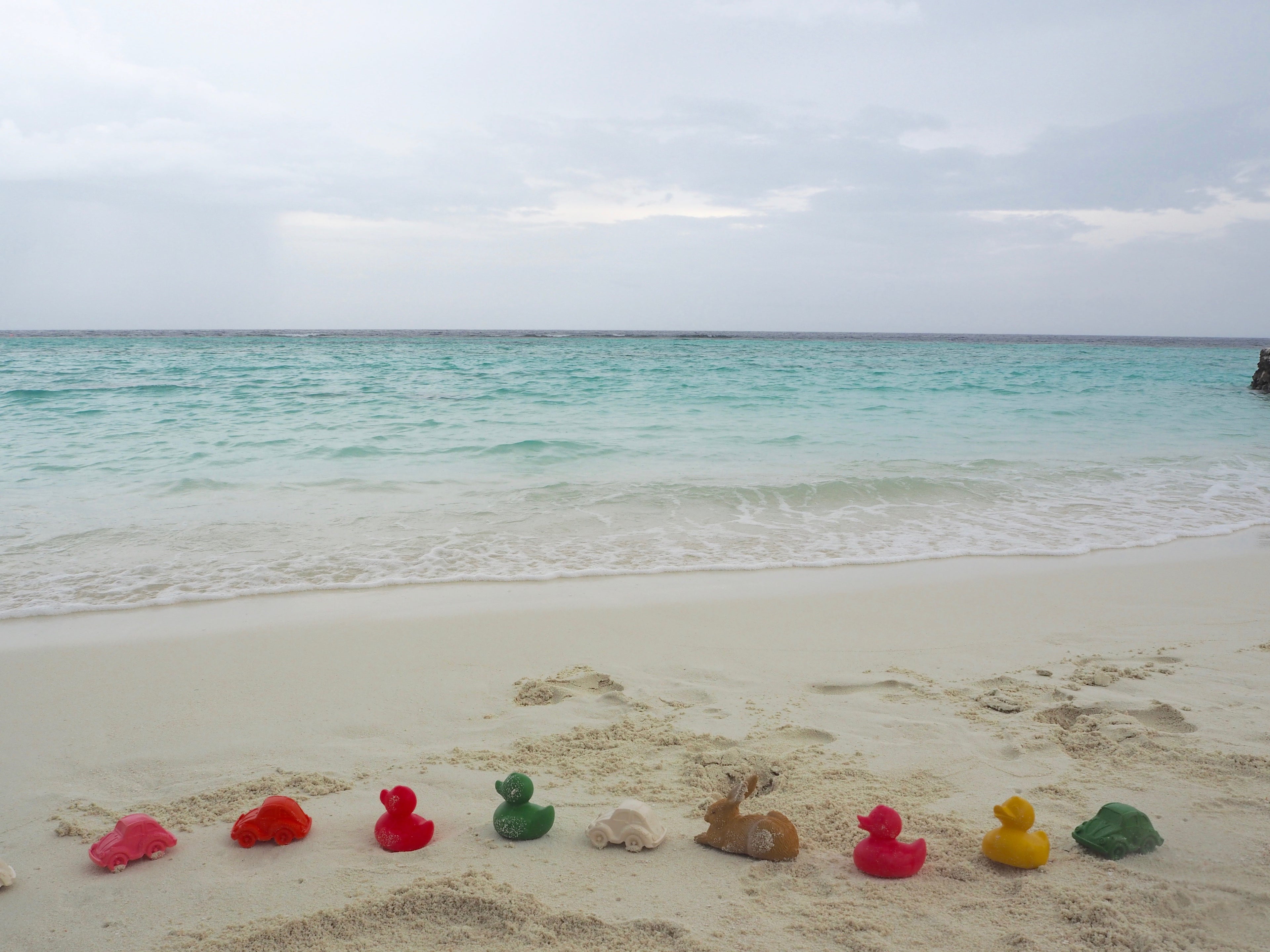 canard-monochrome-rose-oli-carol