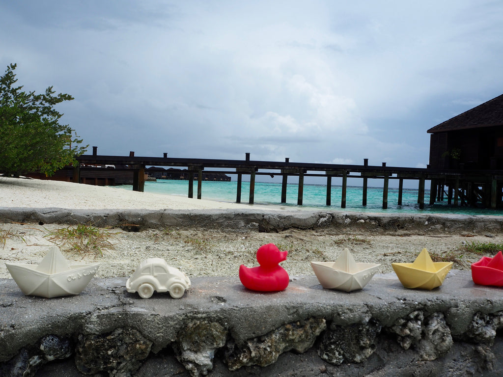 canard-monochrome-rose-oli-carol