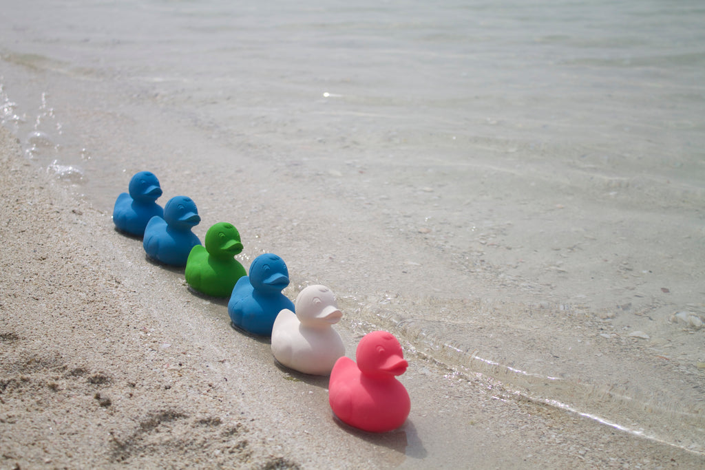 canard-monochrome-blanc-oli-carol