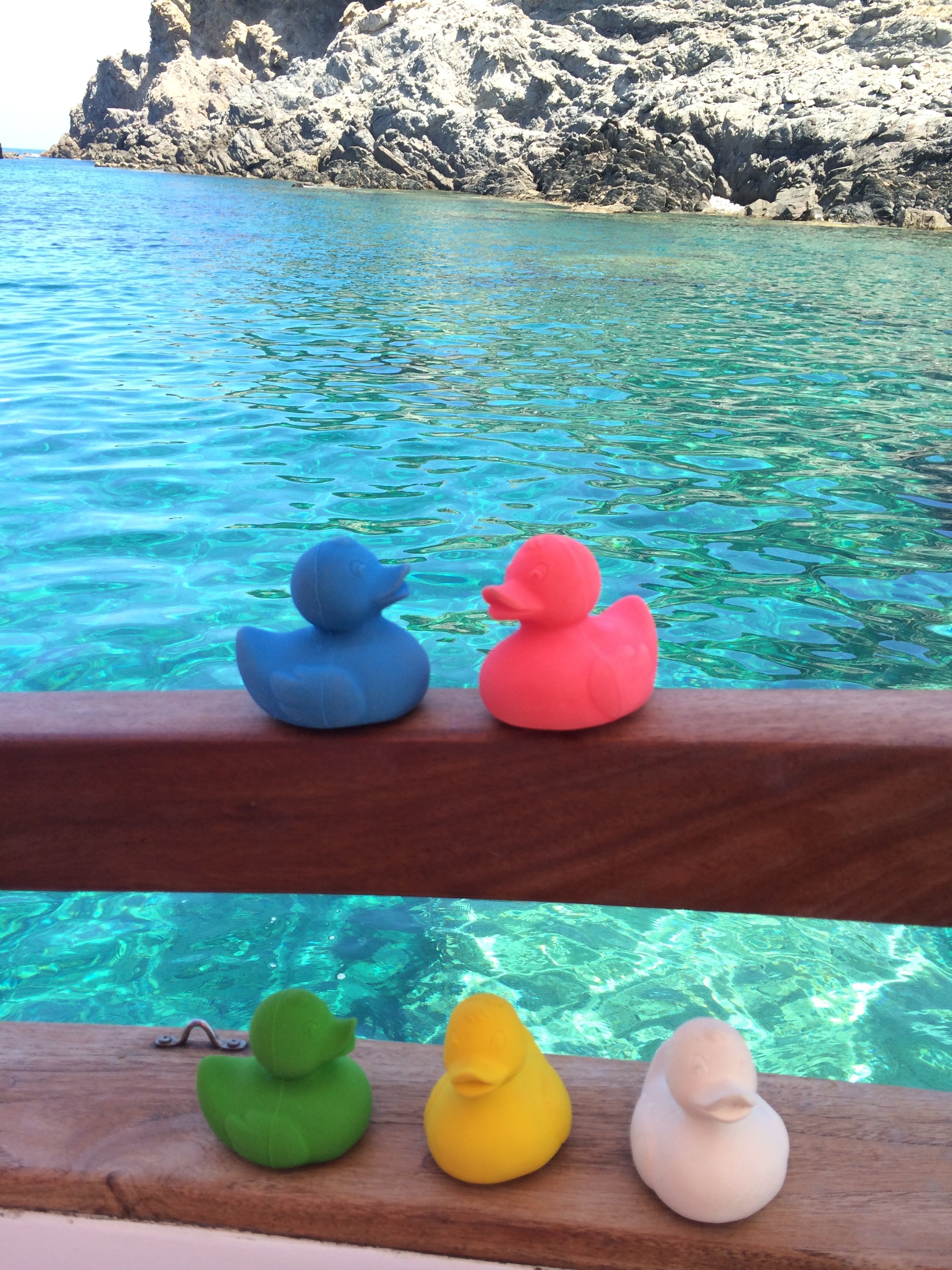 canard-monochrome-blanc-oli-carol