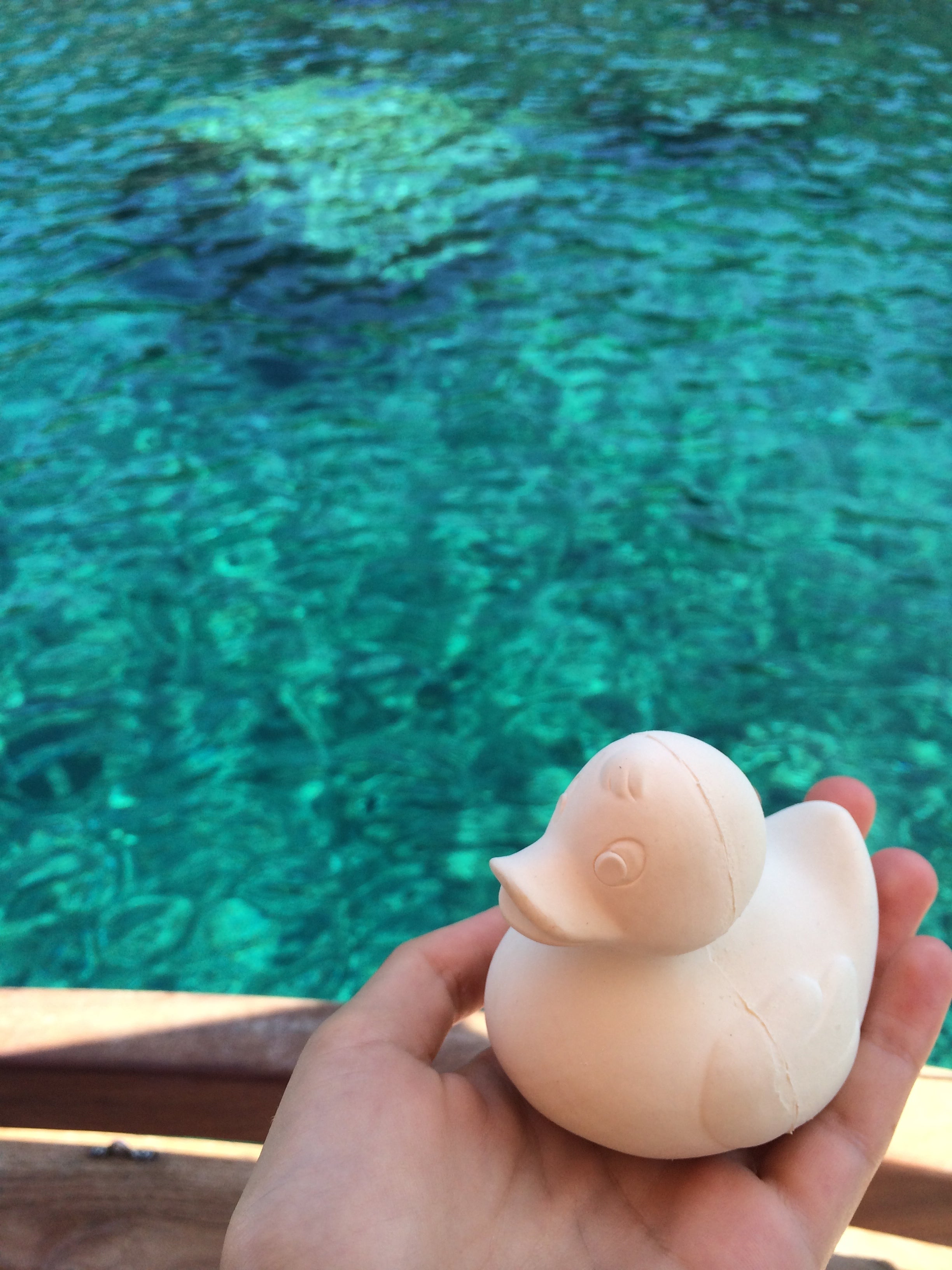 canard-monochrome-blanc-oli-carol