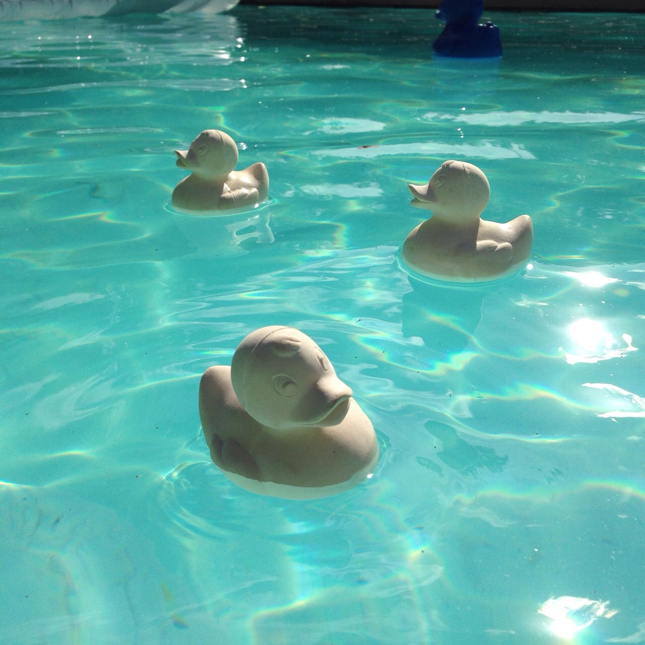 canard-monochrome-blanc-oli-carol