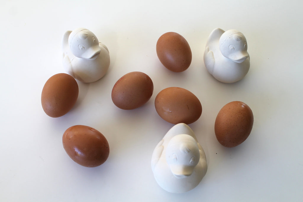 canard-monochrome-blanc-oli-carol