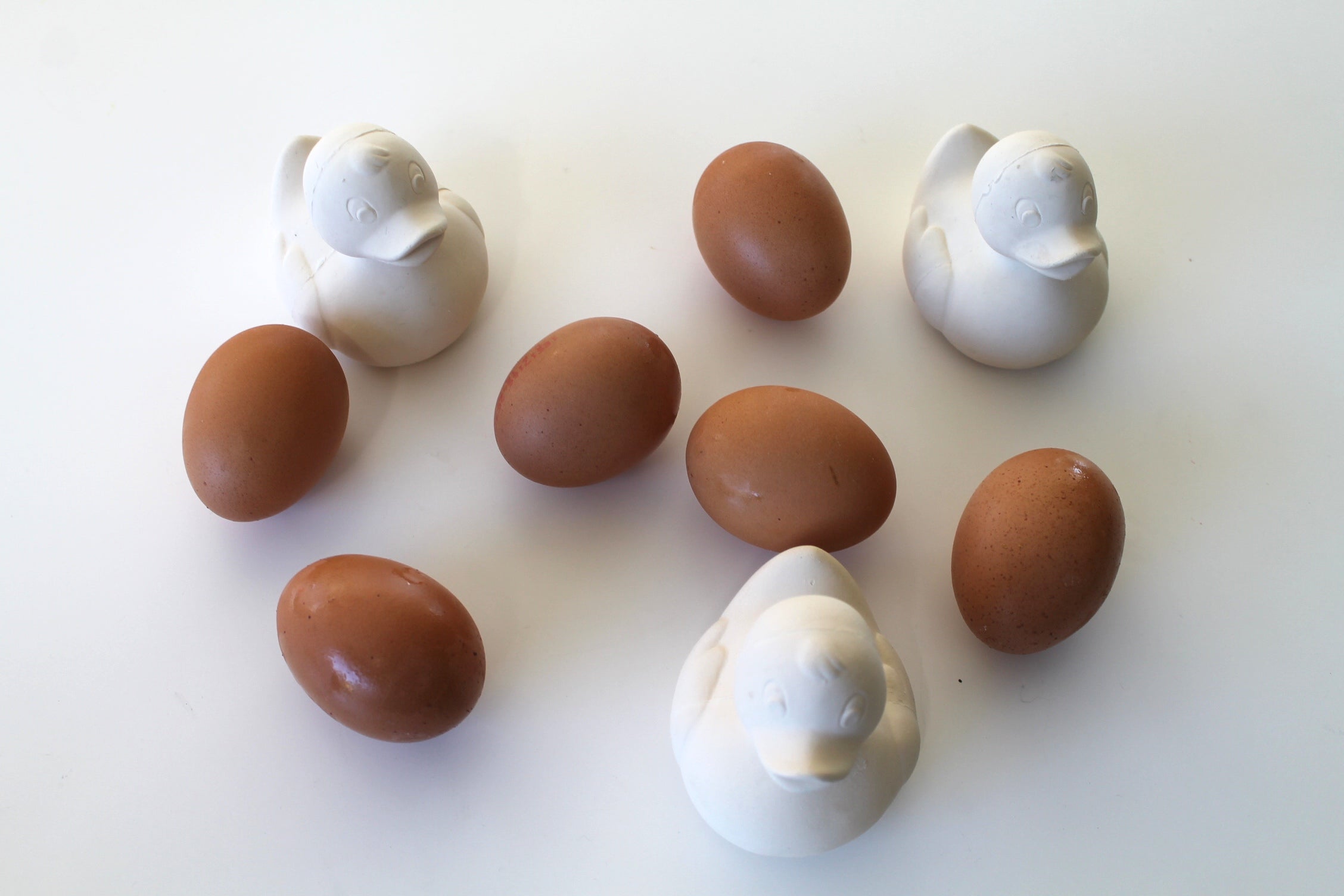 canard-monochrome-blanc-oli-carol