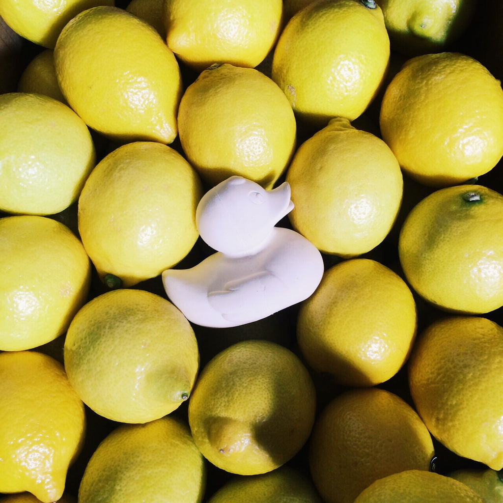 canard-monochrome-blanc-oli-carol