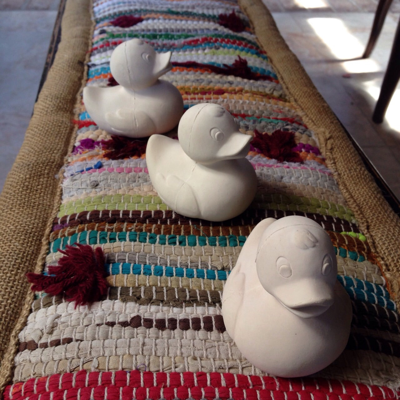 canard-monochrome-blanc-oli-carol