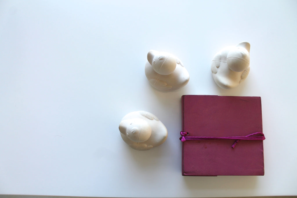 canard-monochrome-blanc-oli-carol