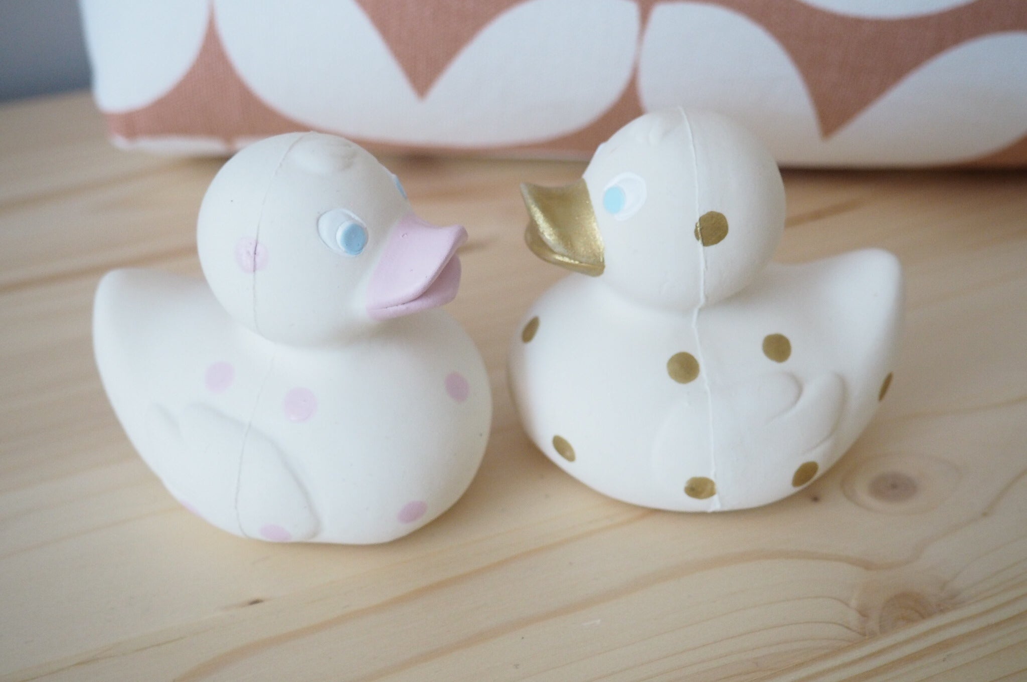 canard-a-pois-dores-oli-carol