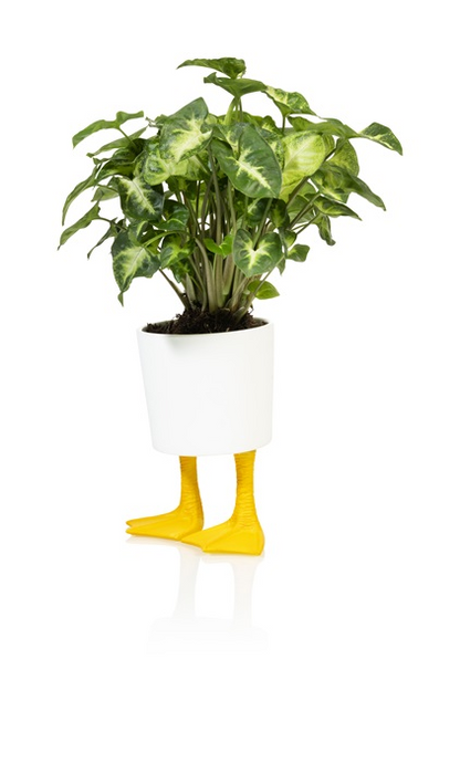 Blomster Jar Duck Ben