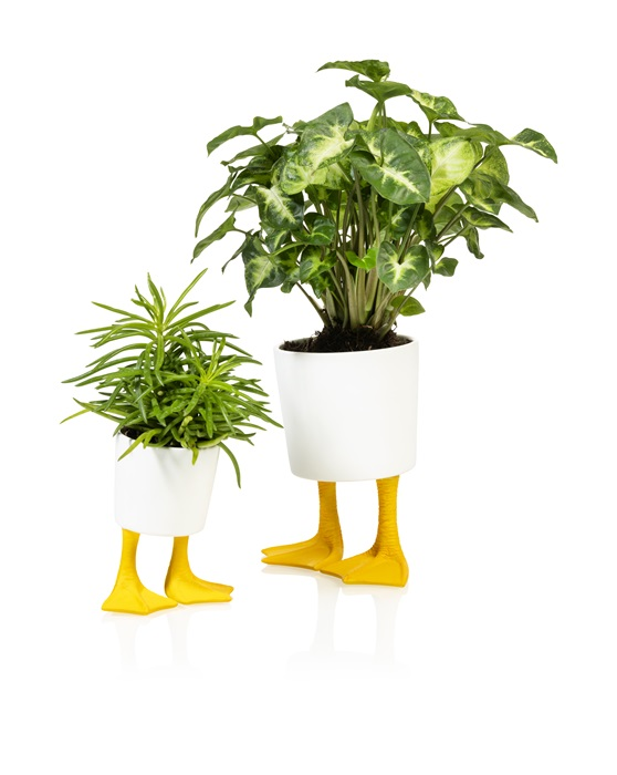 Blomster Jar Duck Ben