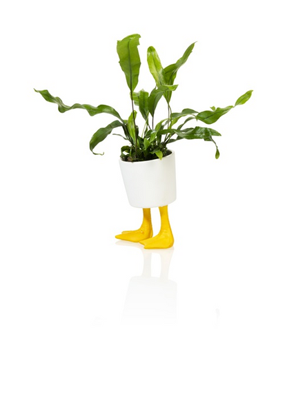 Blomster Jar Duck Ben