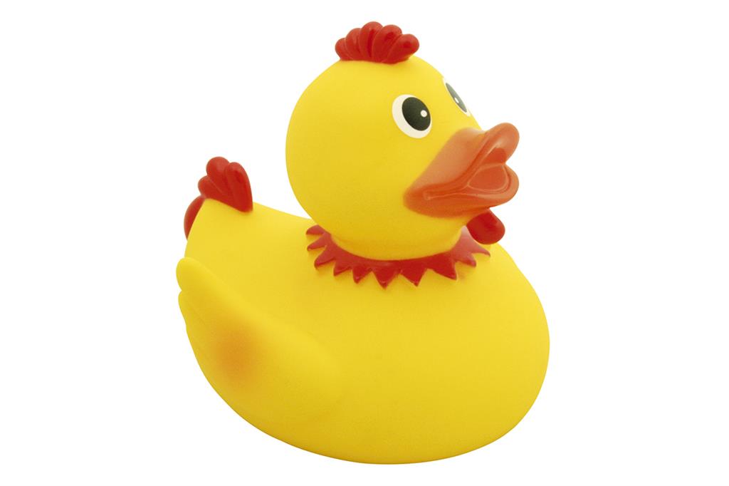 Cock Ridge Duck