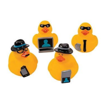 Mini Spy Ducks.